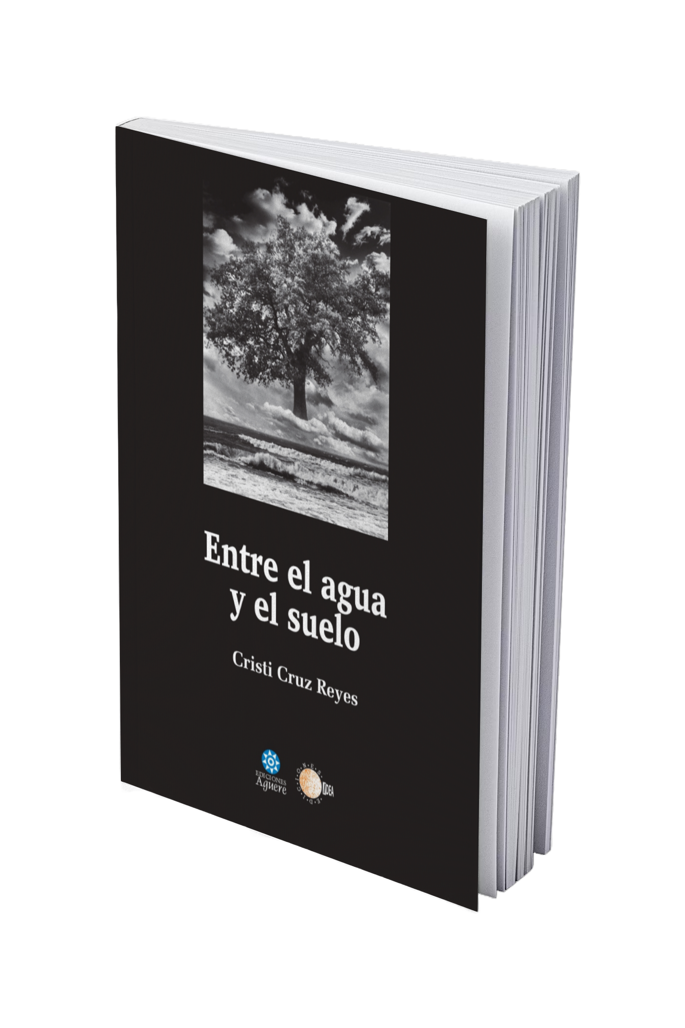 Entre el agua y el suelo
