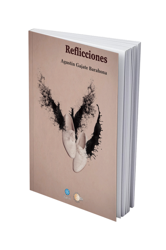Reflicciones