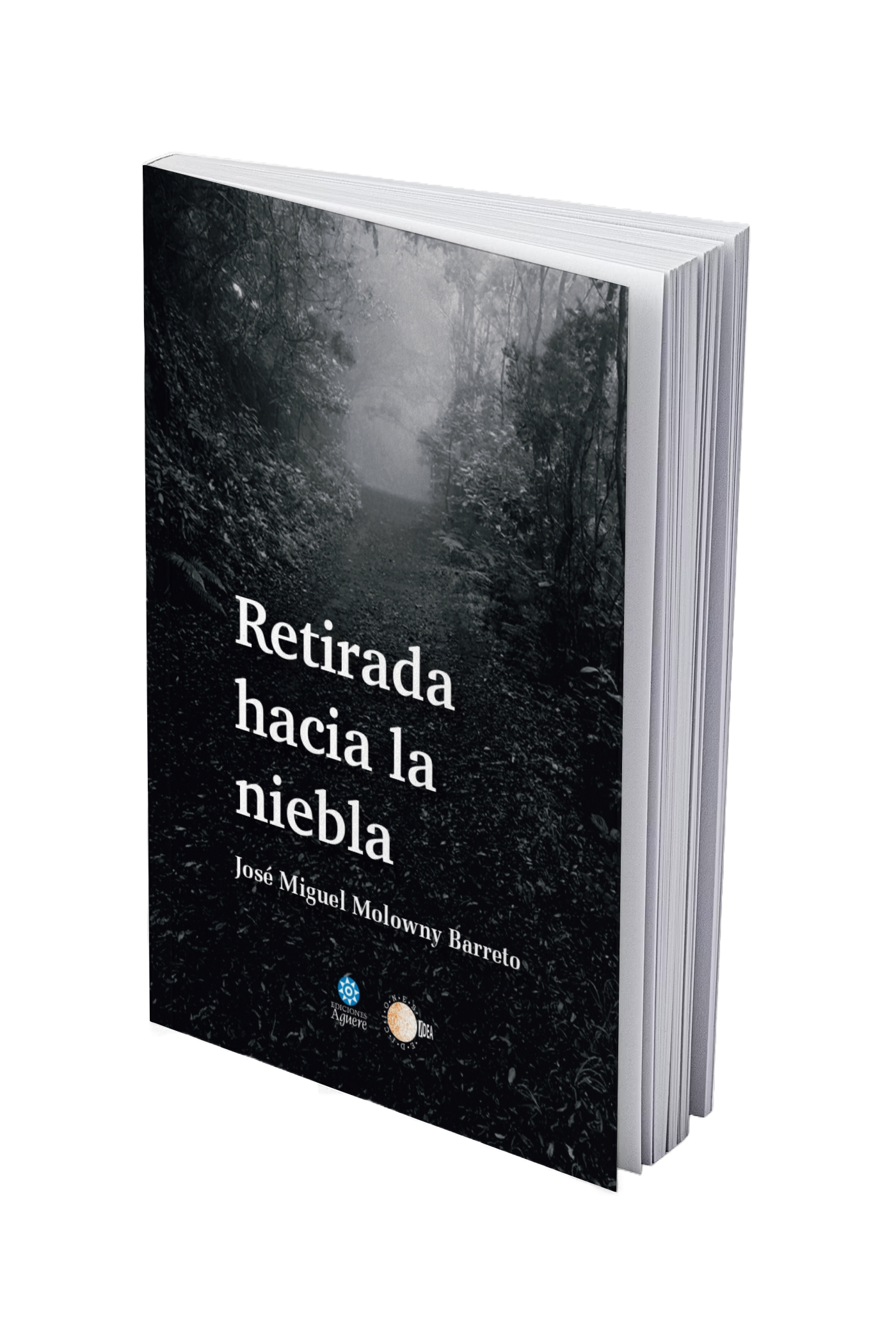 Retirada hacia la niebla