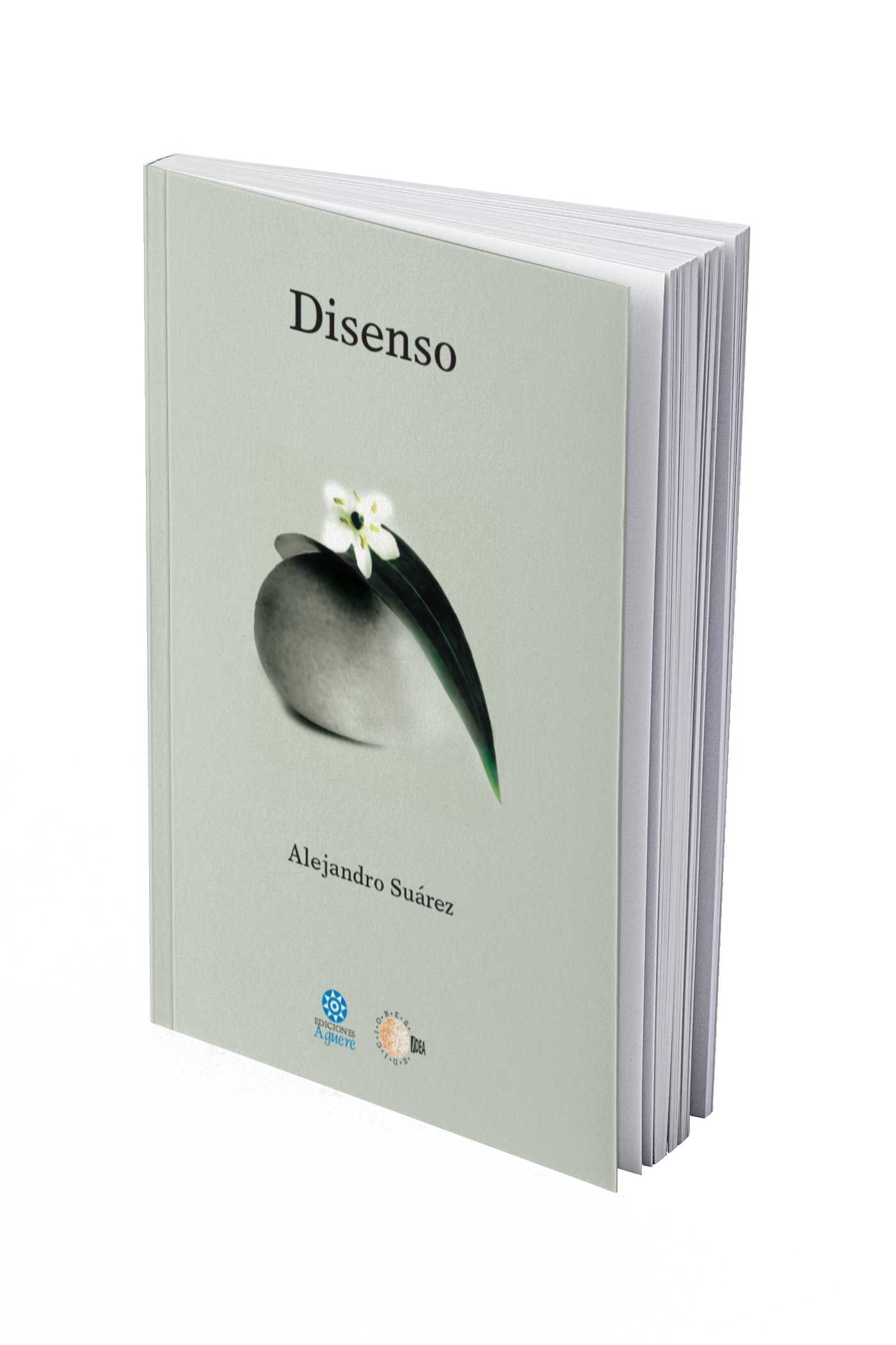 Disenso