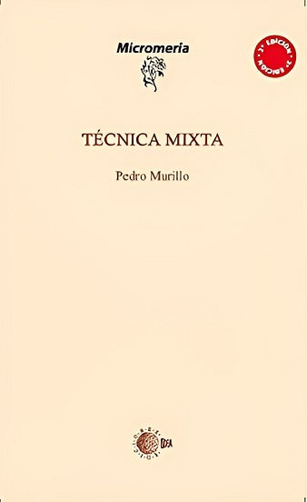 Técnica Mixta