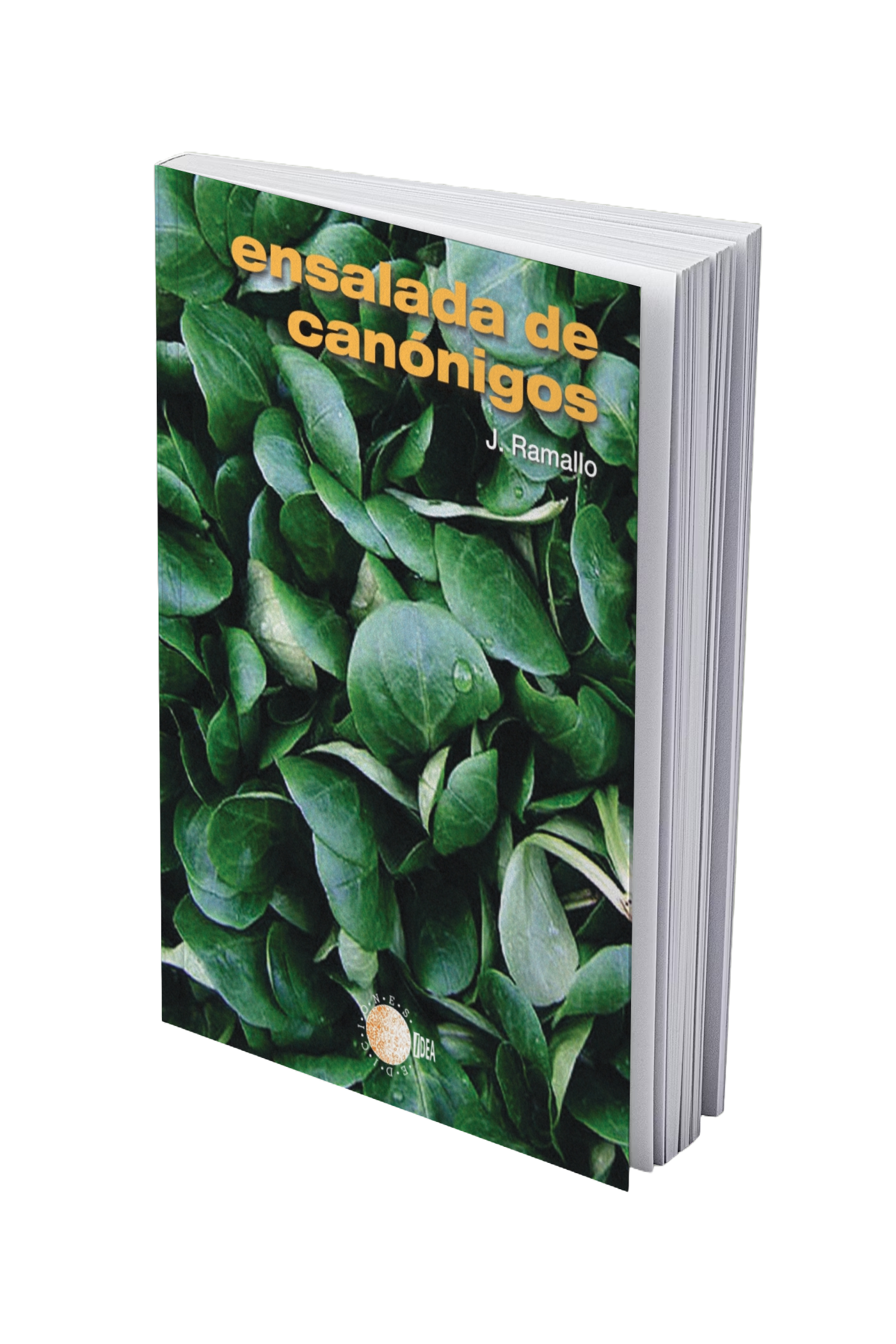 Ensalada de canónigos