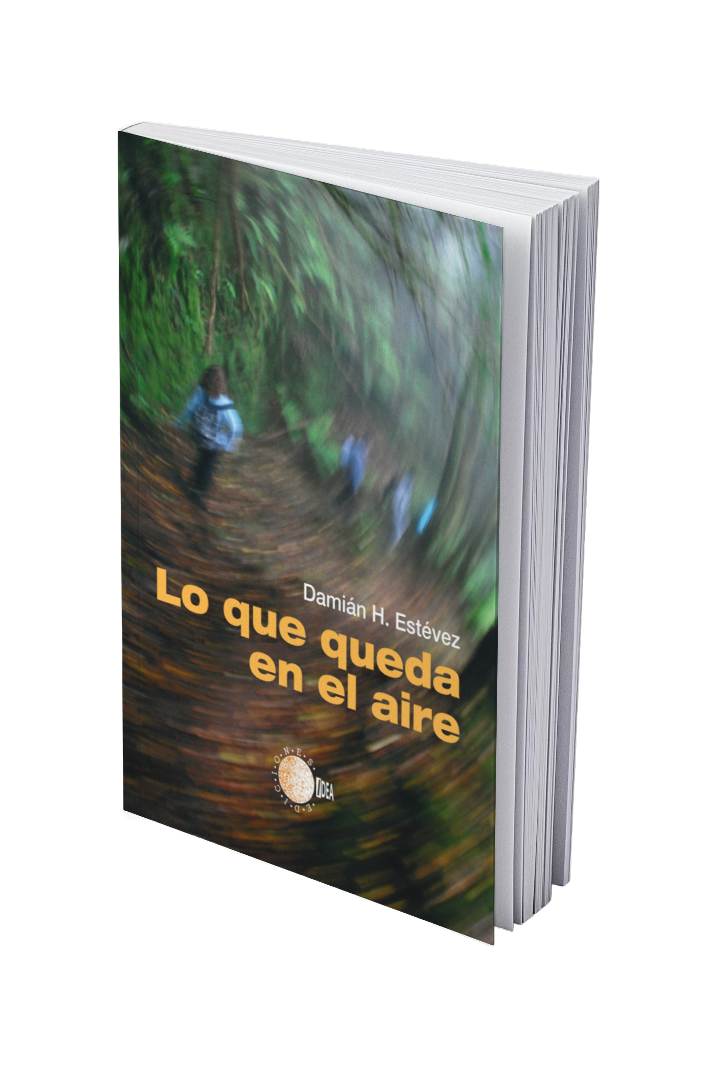 Lo que queda en el aire